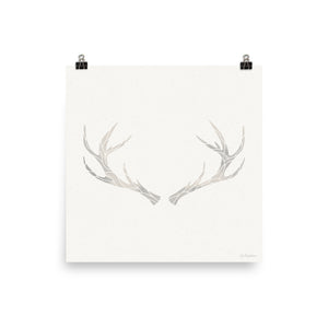 Ivory Antlers • Art Print